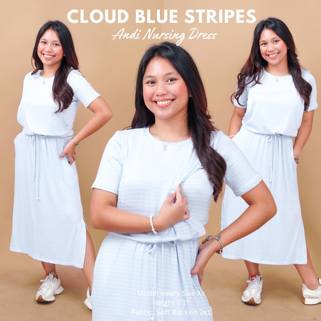 ANDI NURSING DRESS