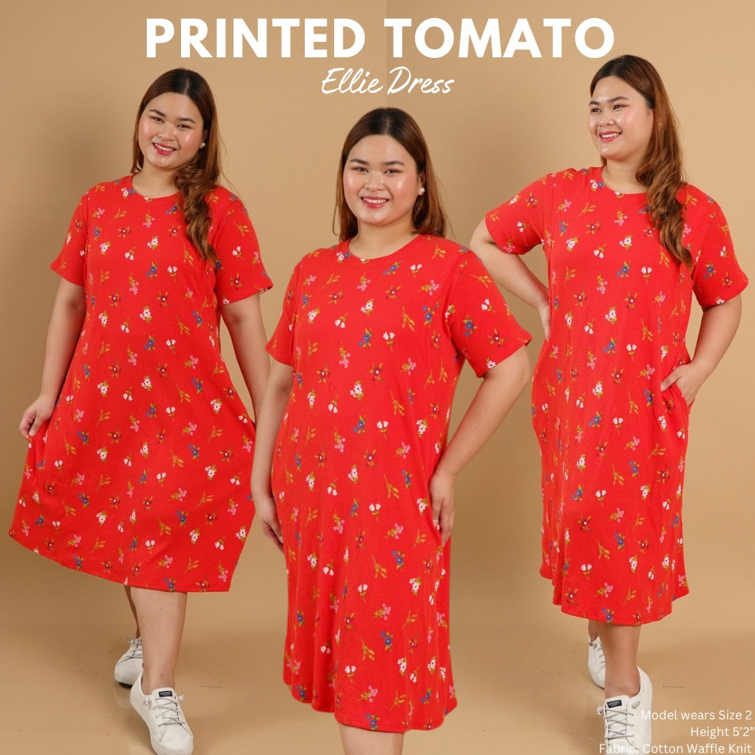 ELLIE NURSING DRESS