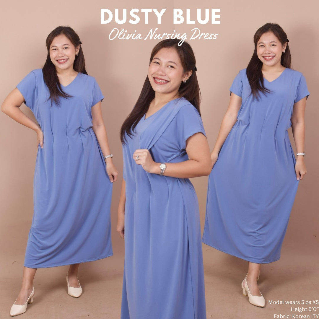 Olivia Nursing Dress