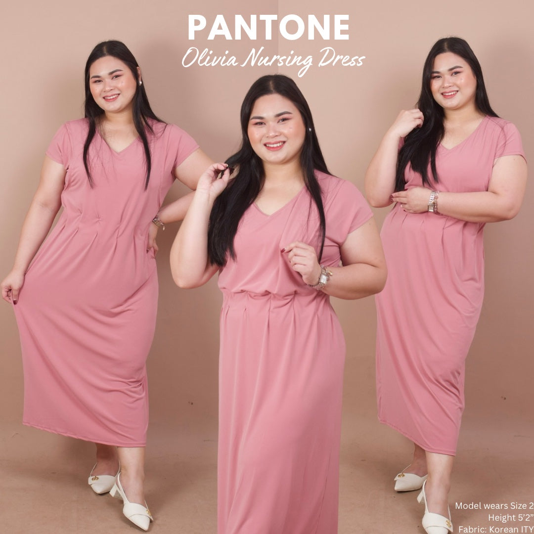 Olivia Nursing Dress