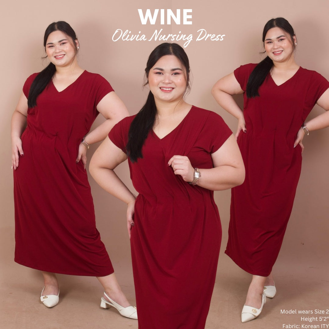 Olivia Nursing Dress