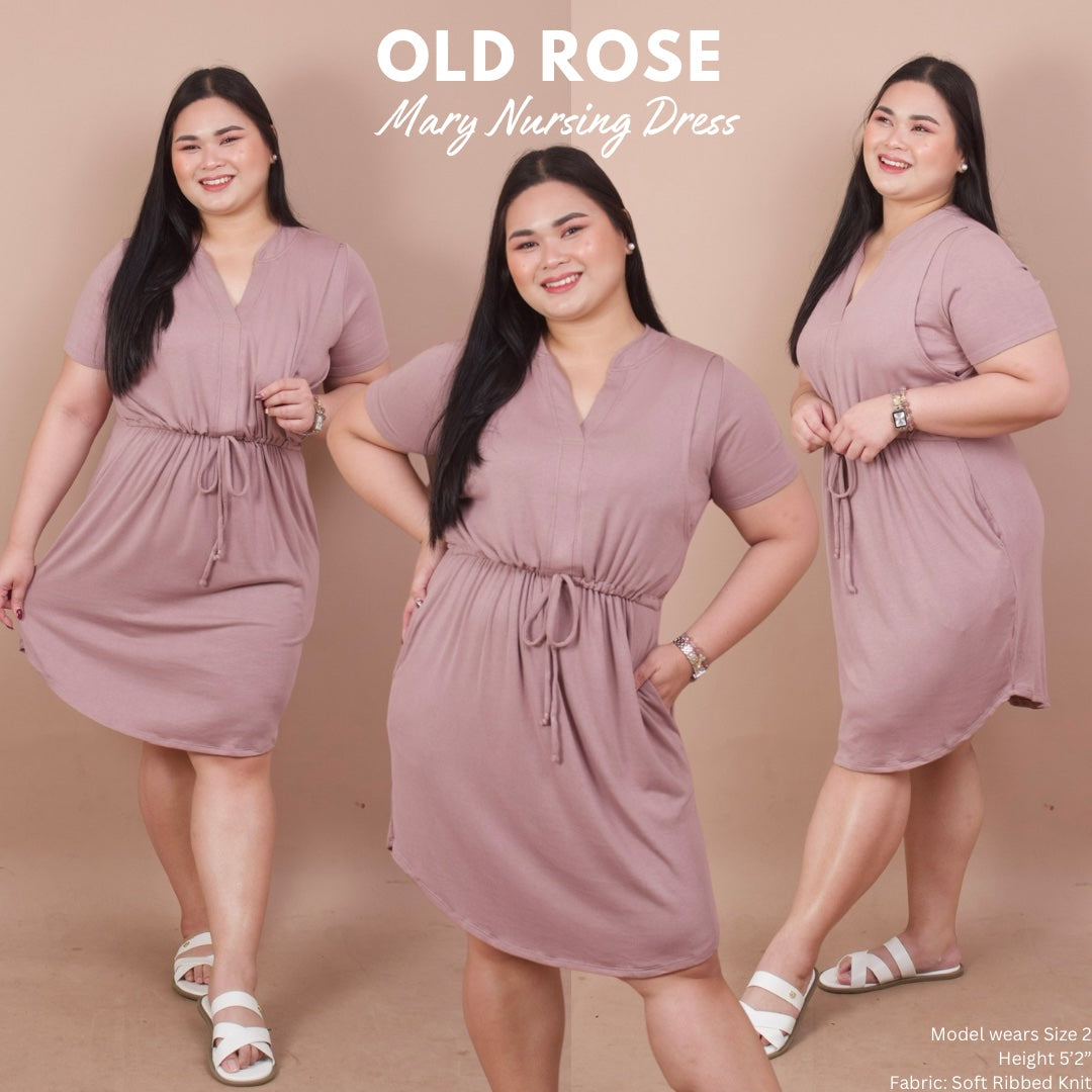 MARY NURSING DRESS