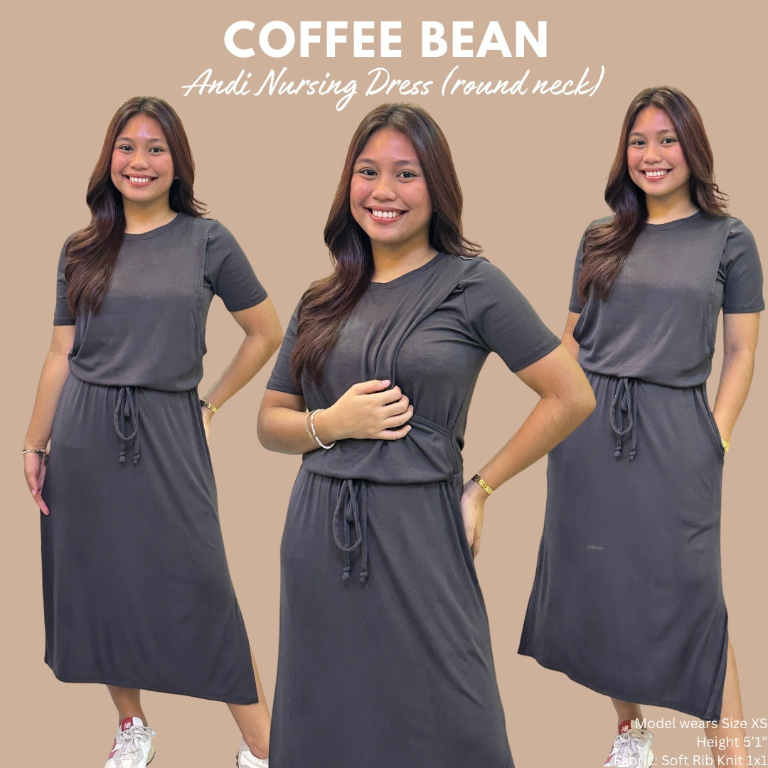 ANDI NURSING DRESS